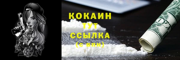мяу мяу мука Аркадак