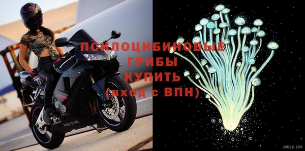 дживик Армянск