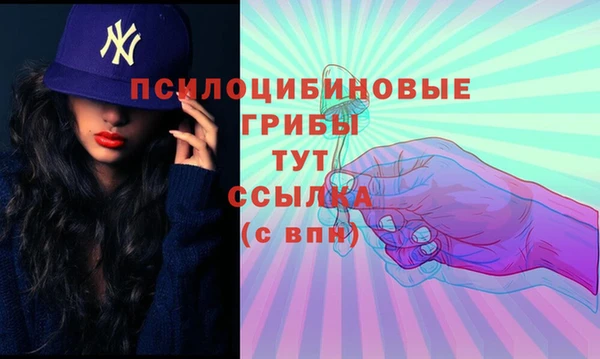мяу мяу мука Аркадак