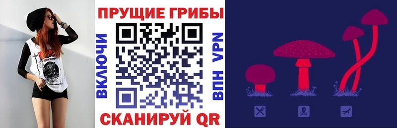 купить   Сибай  Галлюциногенные грибы мухоморы 
